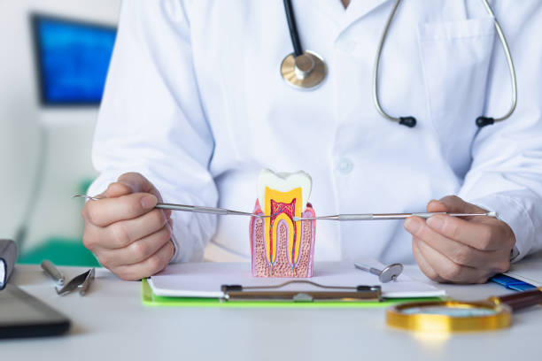 Best Same-Day Emergency Dental Services in Kearney, MO